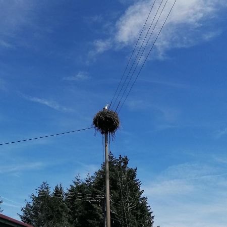 Schwarzwald Appartement Steinen  Εξωτερικό φωτογραφία