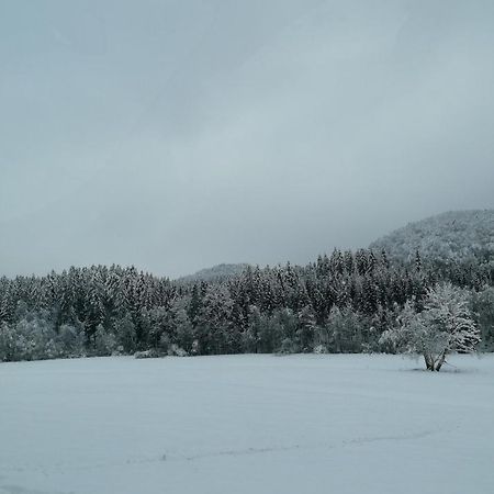 Schwarzwald Appartement Steinen  Εξωτερικό φωτογραφία