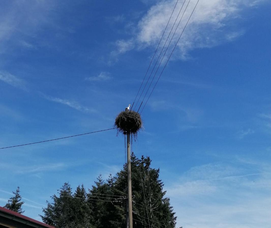 Schwarzwald Appartement Steinen  Εξωτερικό φωτογραφία