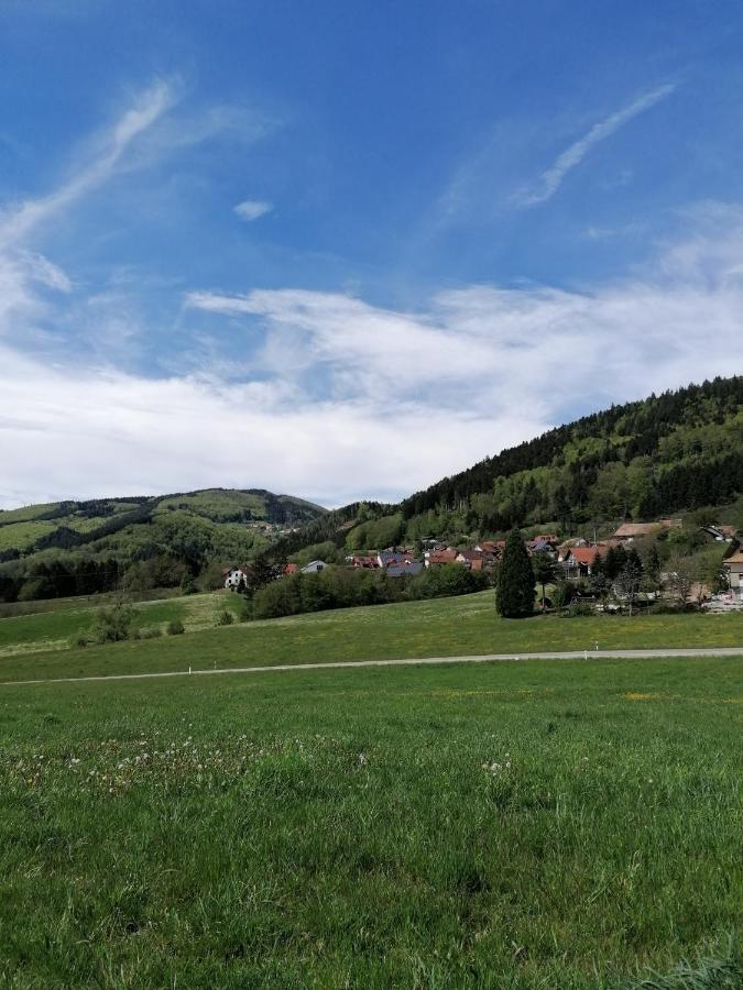 Schwarzwald Appartement Steinen  Εξωτερικό φωτογραφία