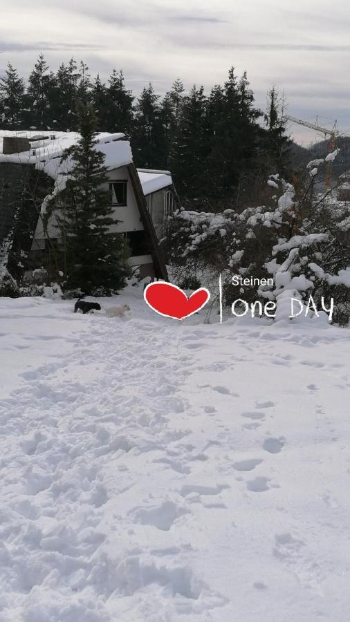 Schwarzwald Appartement Steinen  Εξωτερικό φωτογραφία