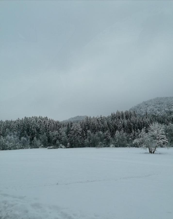 Schwarzwald Appartement Steinen  Εξωτερικό φωτογραφία