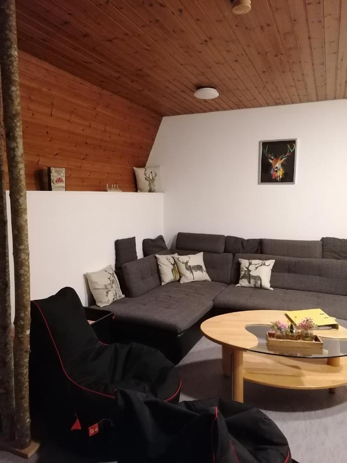 Schwarzwald Appartement Steinen  Εξωτερικό φωτογραφία